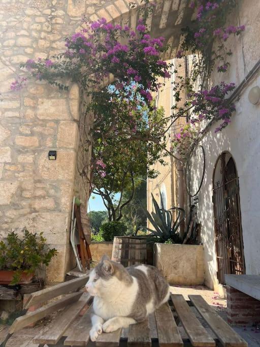 Casa Masseria Dell'800 Gargano. Le Mignole Monte SantʼAngelo Exteriör bild