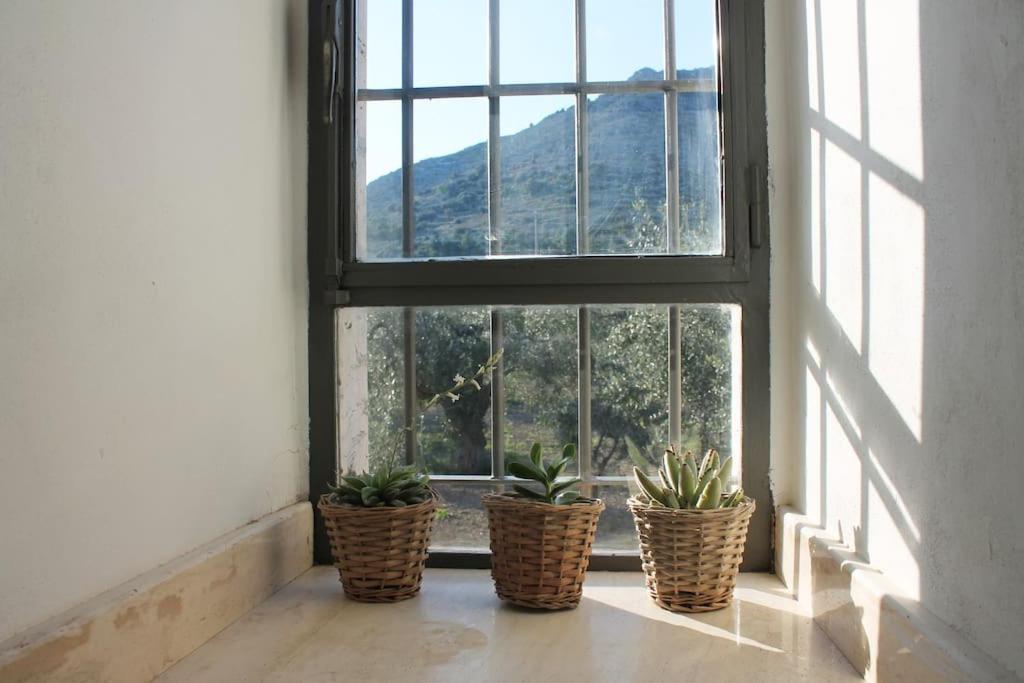 Casa Masseria Dell'800 Gargano. Le Mignole Monte SantʼAngelo Exteriör bild