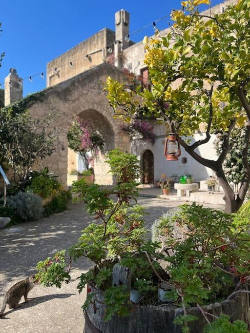 Casa Masseria Dell'800 Gargano. Le Mignole Monte SantʼAngelo Exteriör bild