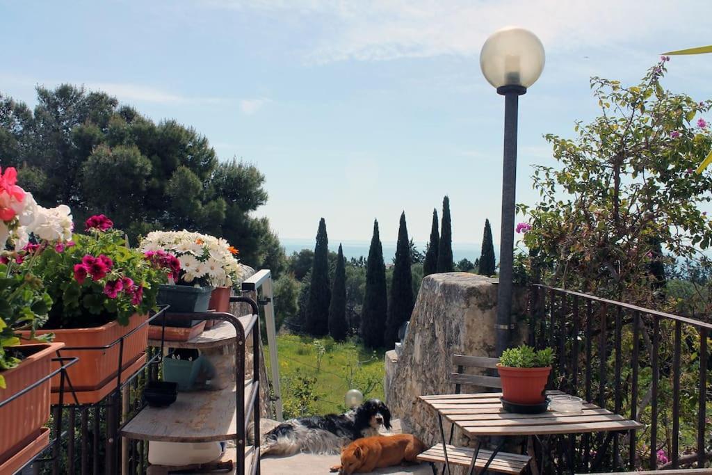 Casa Masseria Dell'800 Gargano. Le Mignole Monte SantʼAngelo Exteriör bild